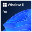 Sistema Operativo Microsoft Windows 11 Pro 64-bit Spanish LATAM OEM DVD